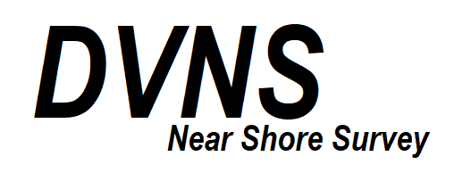 DVNS